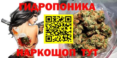 СК Абинск