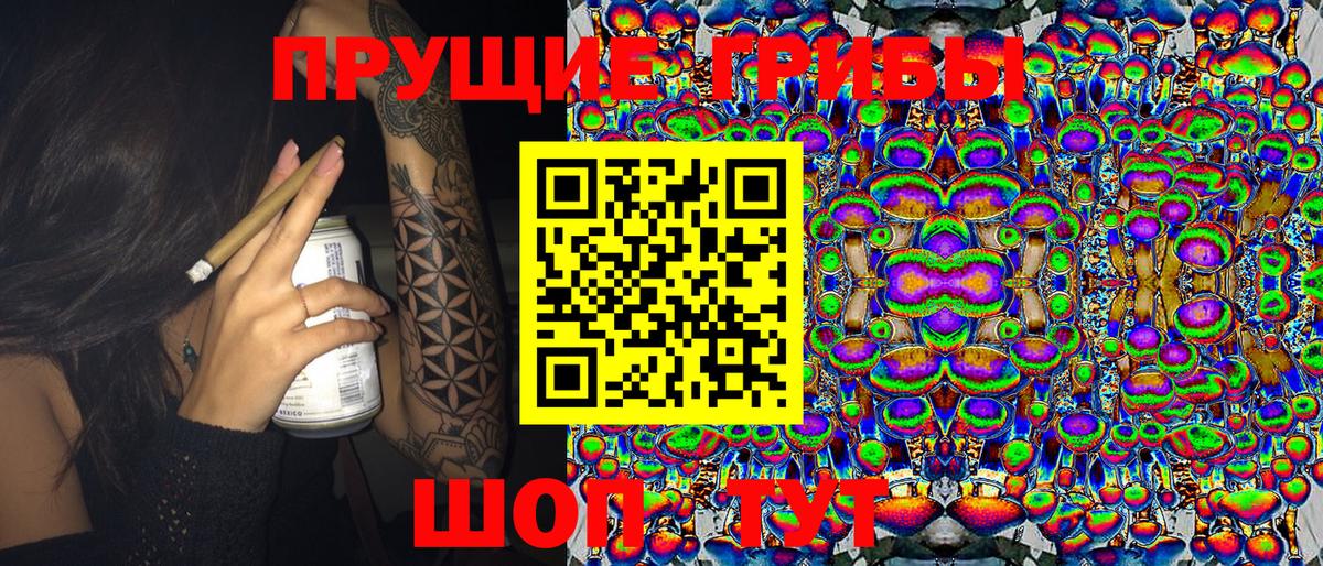 магазин продажи   Галлюциногенные грибы MAGIC MUSHROOMS  Вход с VPN  Алатырь 