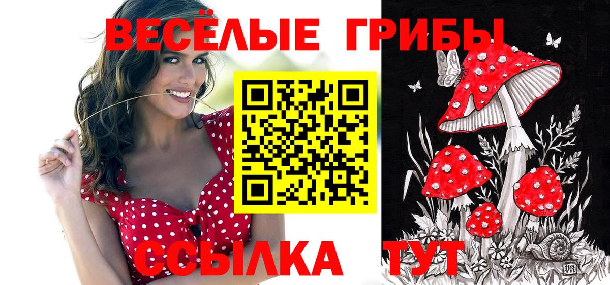 Псилоцибиновые грибы мицелий Алатырь